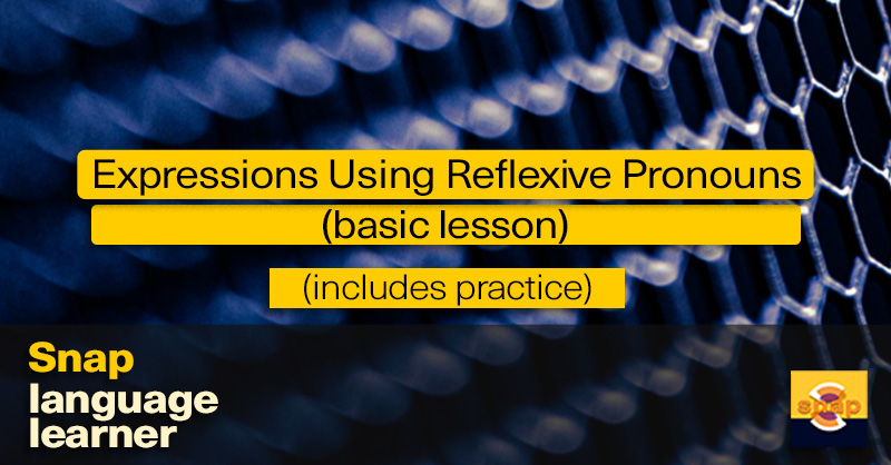 (Basic) Practice 2. Expressions Using Reflexive Pronouns: Lesson 3 ...